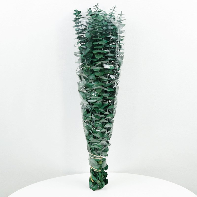 Natural Green Preserved Dried Eucalyotus Eternal Eucalyptus Bouquet Leaves Preserved Flowers Wedding Arrangements Bouquet Decor