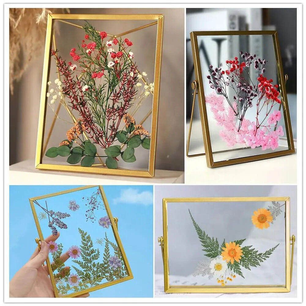 Dried Flower Material for Making Decorative Wedding Party Cards Mixed Custom Natural Customize Easter Decoration Easter Decor