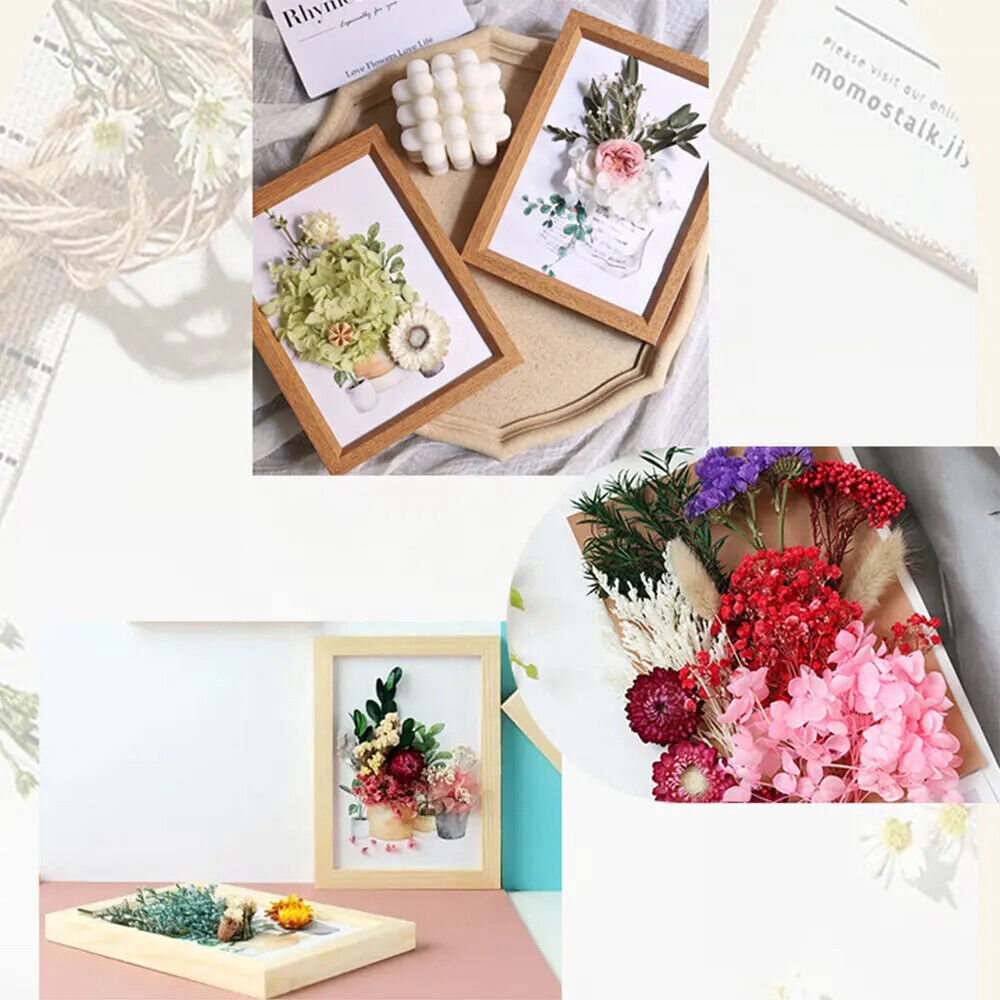 Dried Flower Material for Making Decorative Wedding Party Cards Mixed Custom Natural Customize Easter Decoration Easter Decor