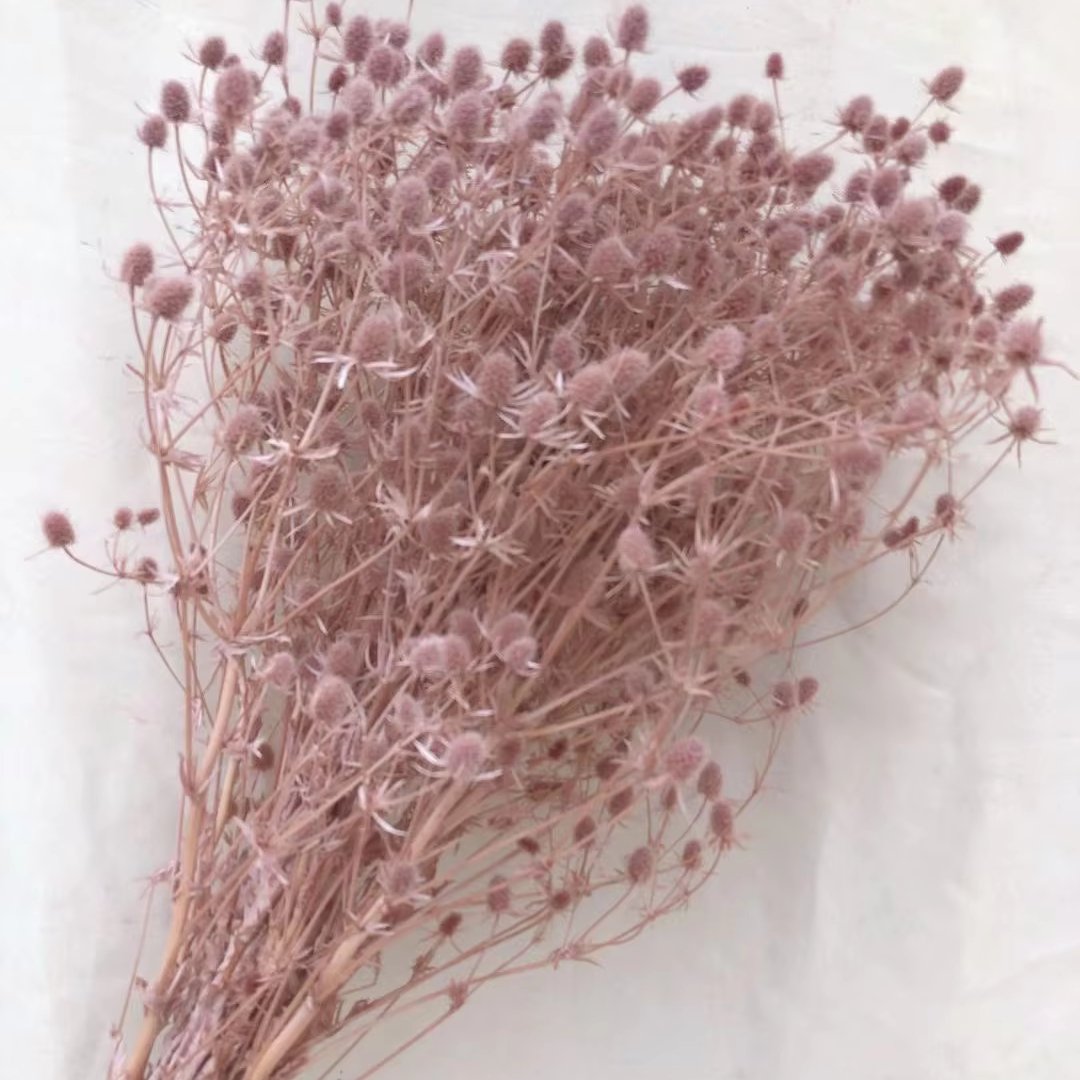 Natural Dried Flowers Valentine fruit Preserved Thistle Eryngium Sea Holly Grass for Valentine's Day bouquets and home decor