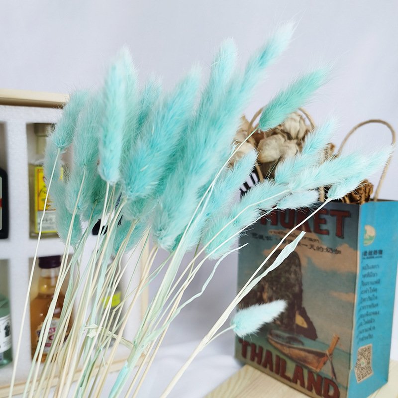 Bulk Dried Flowers boho fluffy Lagurus Ovatus Wedding Table Room Decoration Rabbit Bunny Tail Grass Pampas Grass Bouquet
