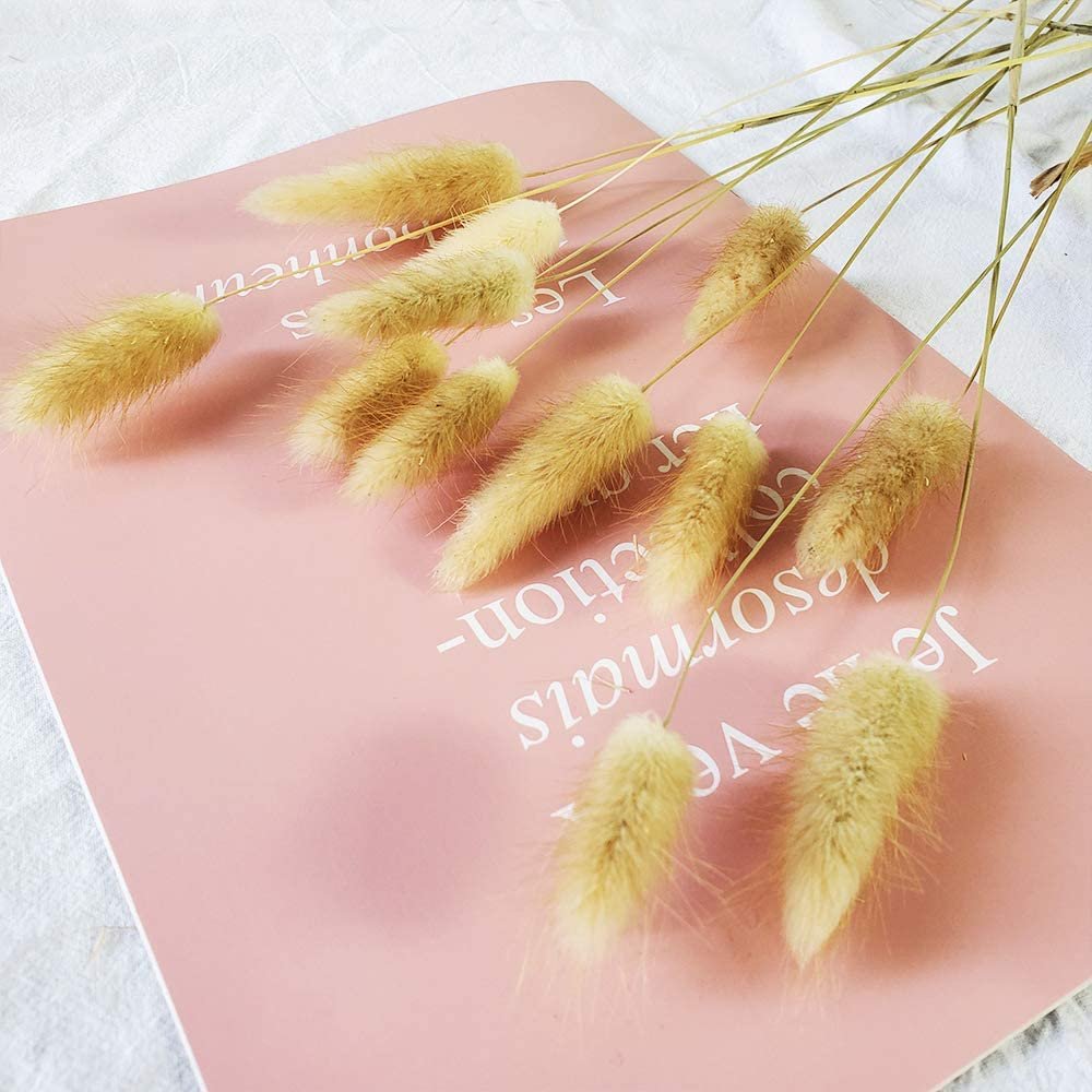 Bulk Dried Flowers boho fluffy Lagurus Ovatus Wedding Table Room Decoration Rabbit Bunny Tail Grass Pampas Grass Bouquet