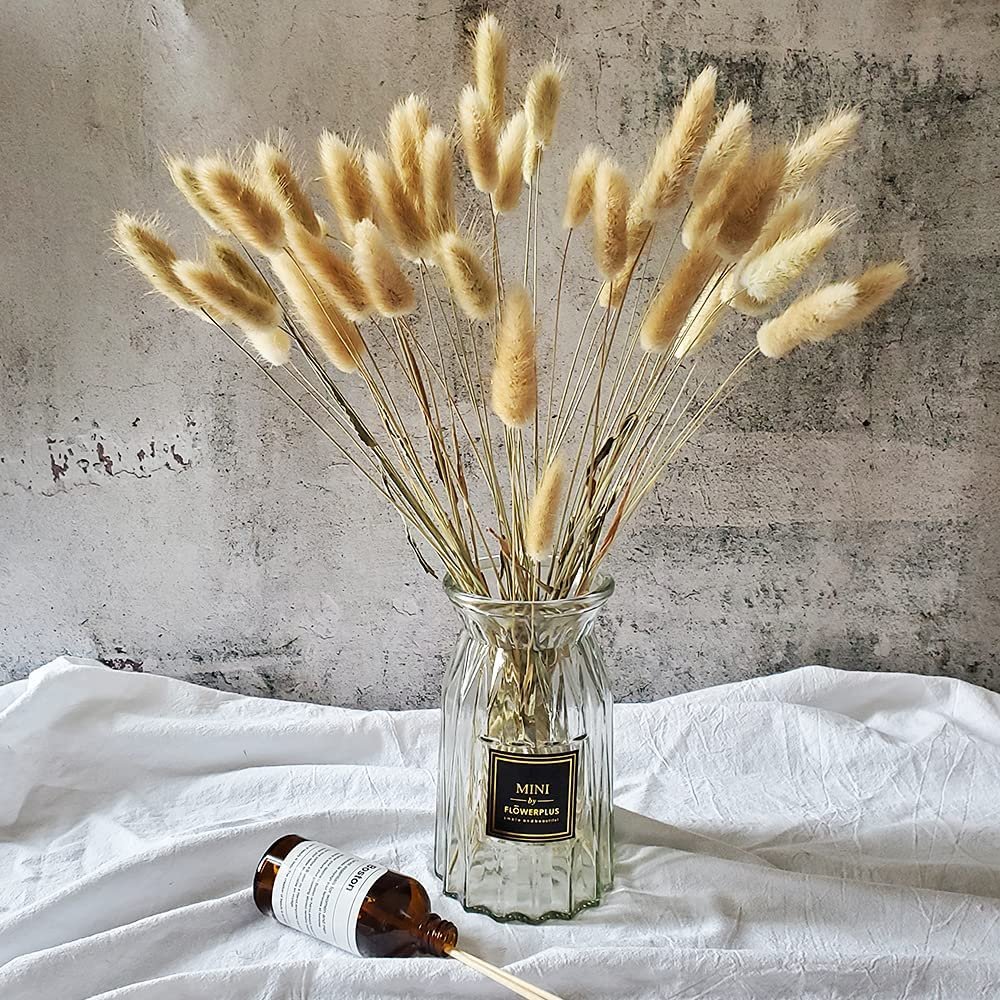 Bulk Dried Flowers boho fluffy Lagurus Ovatus Wedding Table Room Decoration Rabbit Bunny Tail Grass Pampas Grass Bouquet