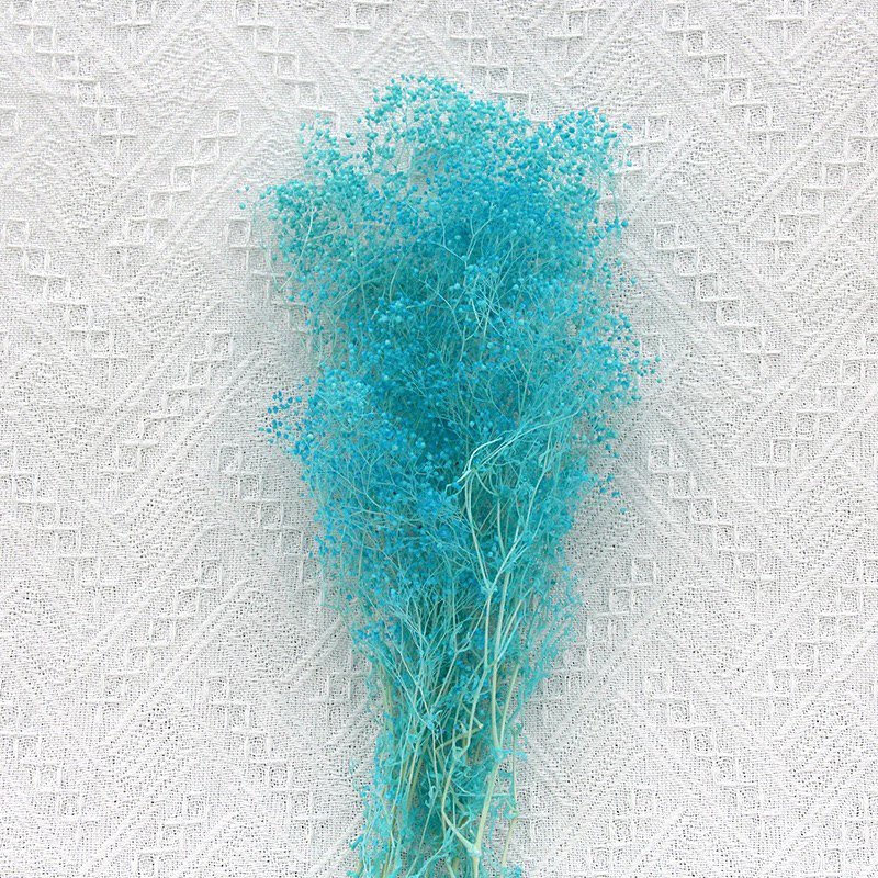 China wholesale preserved million star dried babys breath small gypsophila flower bouquet flower for wedding
