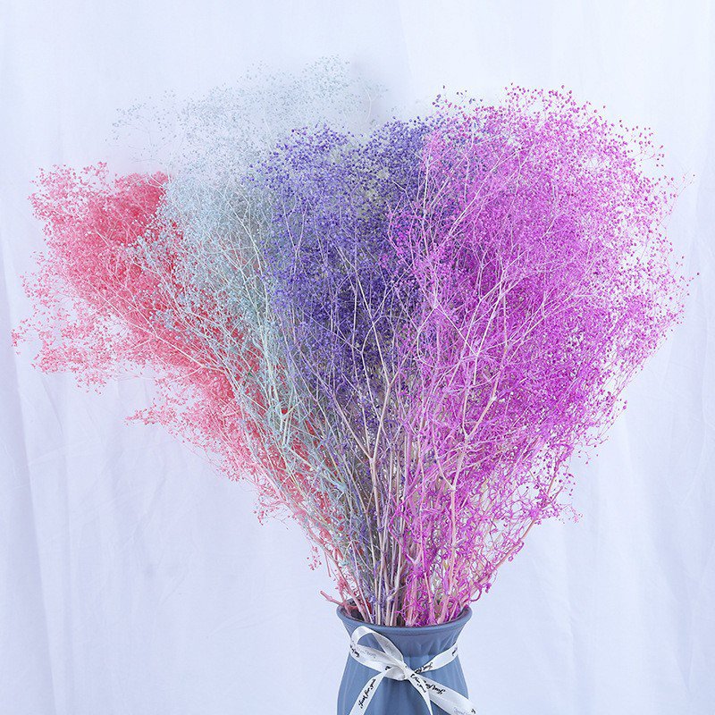 China wholesale preserved million star dried babys breath small gypsophila flower bouquet flower for wedding