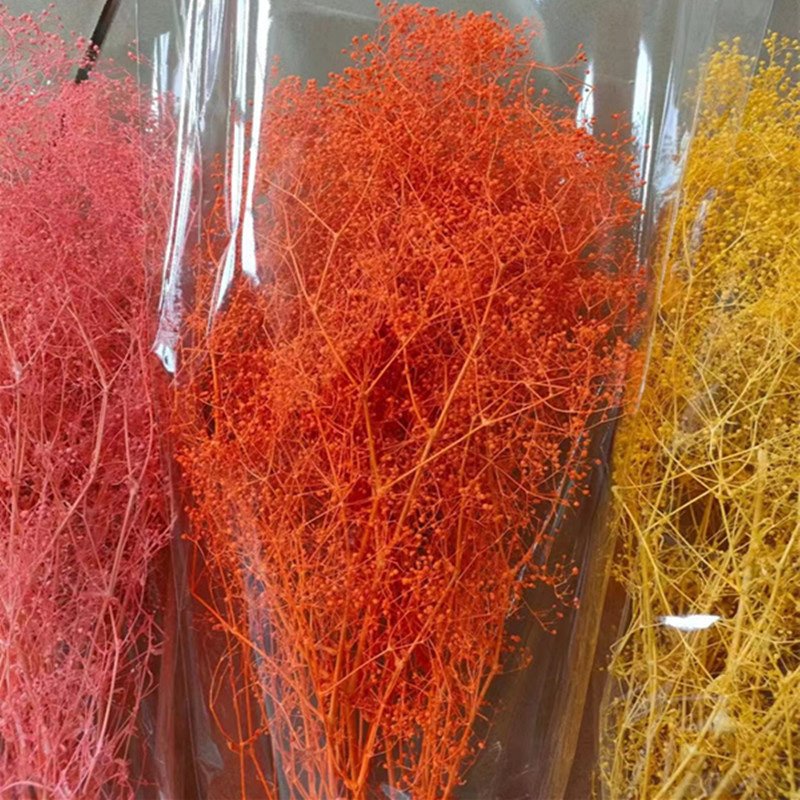 China wholesale preserved million star dried babys breath small gypsophila flower bouquet flower for wedding