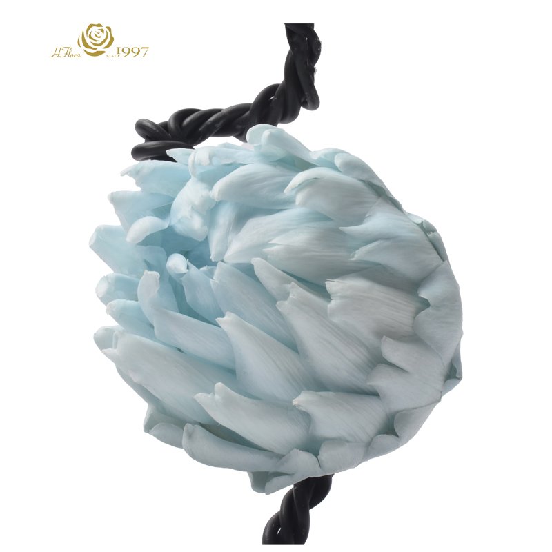 New product HFloral Home Decorative Display Preserved Flower Eternal 20*40 cm Preserved Artichoke in Glass Dome