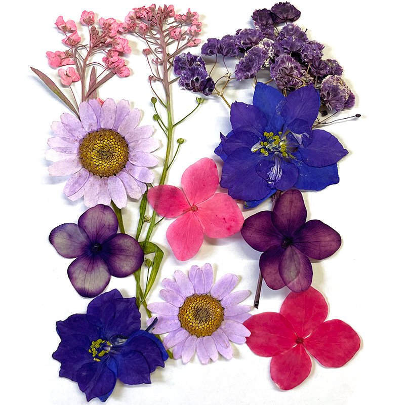 Colorful DIY Dried Pressed Flower for Wall Soy Wax Scented Candles Art Pictures Phone Case