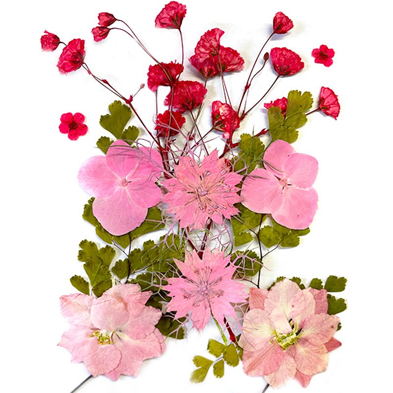 Colorful DIY Dried Pressed Flower for Wall Soy Wax Scented Candles Art Pictures Phone Case