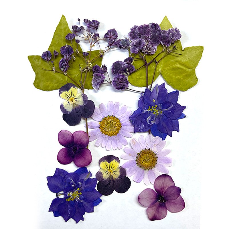 Colorful DIY Dried Pressed Flower for Wall Soy Wax Scented Candles Art Pictures Phone Case