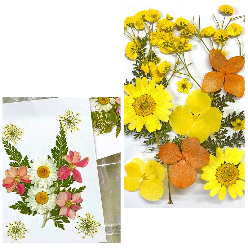 Colorful DIY Dried Pressed Flower for Wall Soy Wax Scented Candles Art Pictures Phone Case