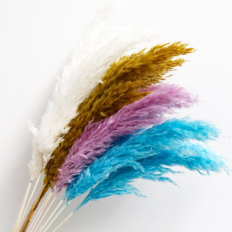 GH-016 Bunch Fluffy Dried Flower Pampas Grass Reed Flower Festival Christmas Ornaments Wedding Pampas bundle Real Natural Pampas