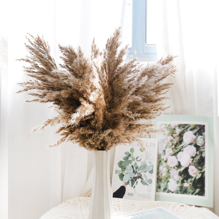 GH-016 Bunch Fluffy Dried Flower Pampas Grass Reed Flower Festival Christmas Ornaments Wedding Pampas bundle Real Natural Pampas