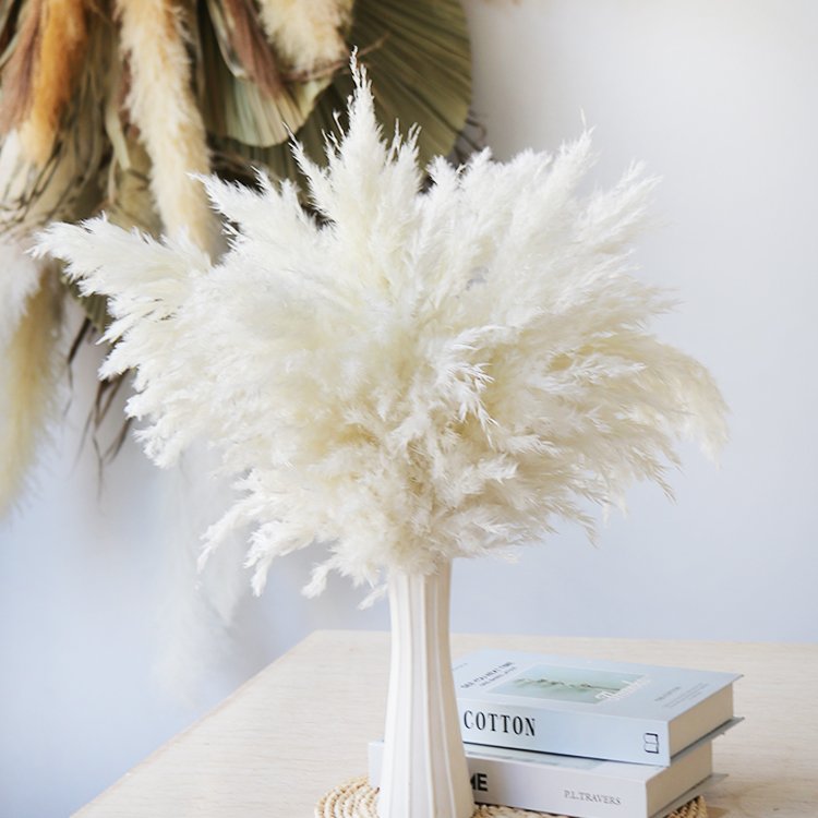 GH-016 Bunch Fluffy Dried Flower Pampas Grass Reed Flower Festival Christmas Ornaments Wedding Pampas bundle Real Natural Pampas
