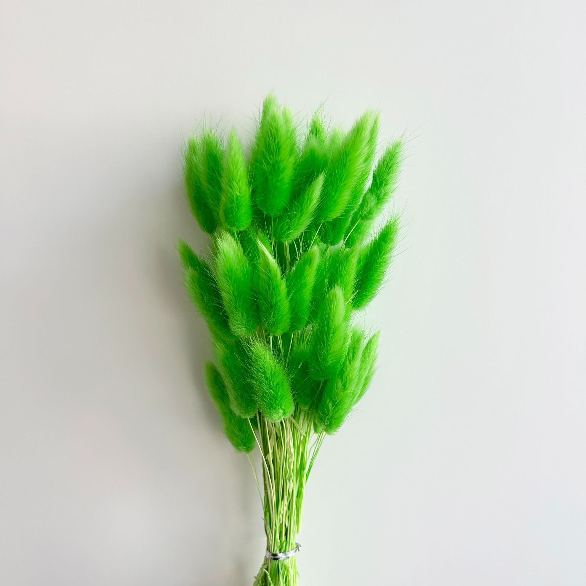 Colorful Wedding Party Decor Nature Dried Rabbit Tail Grass Bunny Bouquets