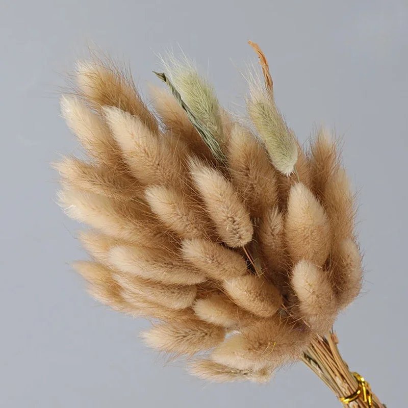 Colorful Wedding Party Decor Nature Dried Rabbit Tail Grass Bunny Bouquets