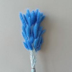 C-030