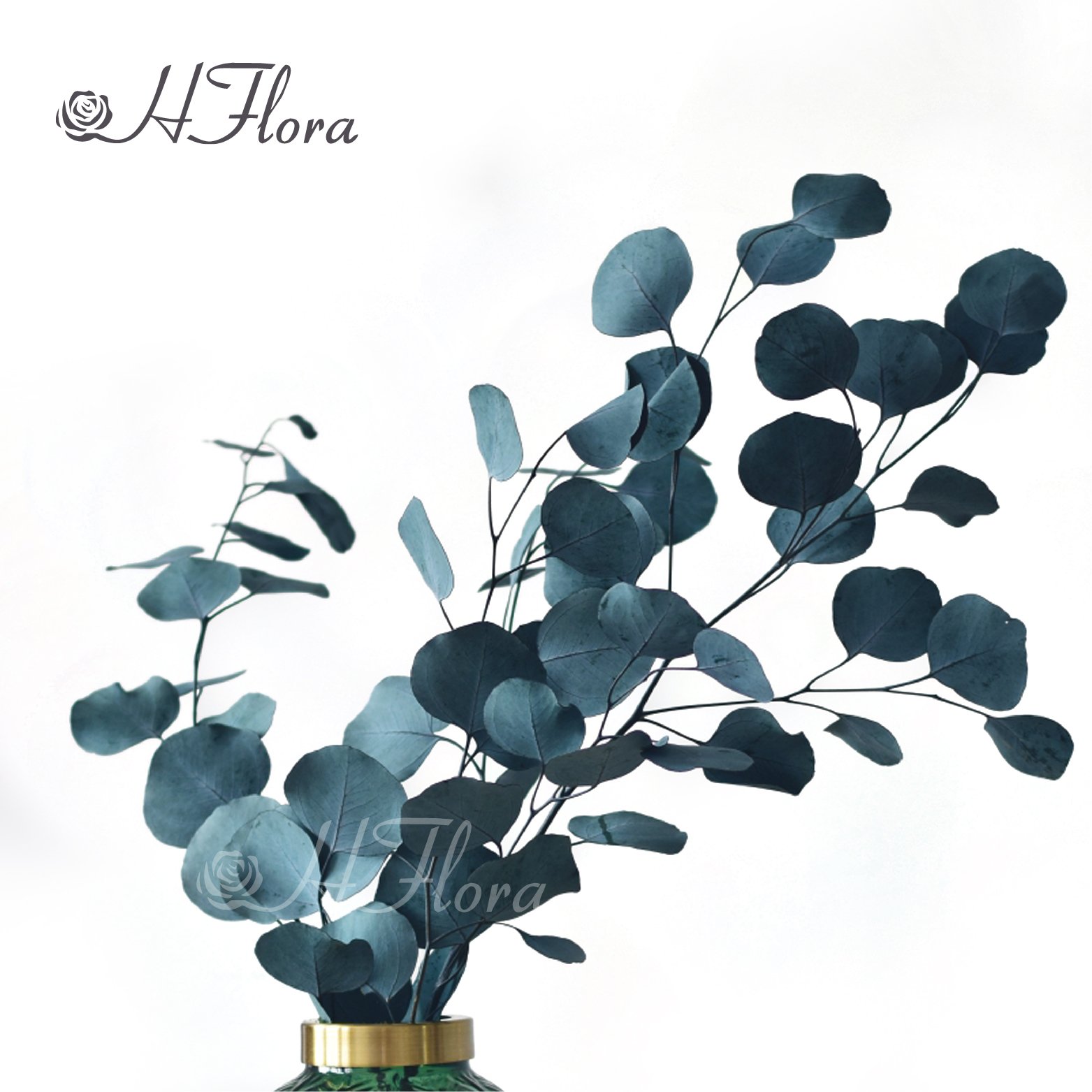 HFloral Wholesale Custom Natural Decorative Dried Bouquet Press the leaves Preserved Flower Apple Leaf Eucalyptus