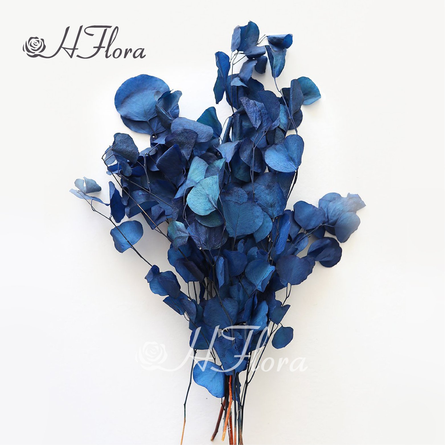 HFloral Wholesale Custom Natural Decorative Dried Bouquet Press the leaves Preserved Flower Apple Leaf Eucalyptus