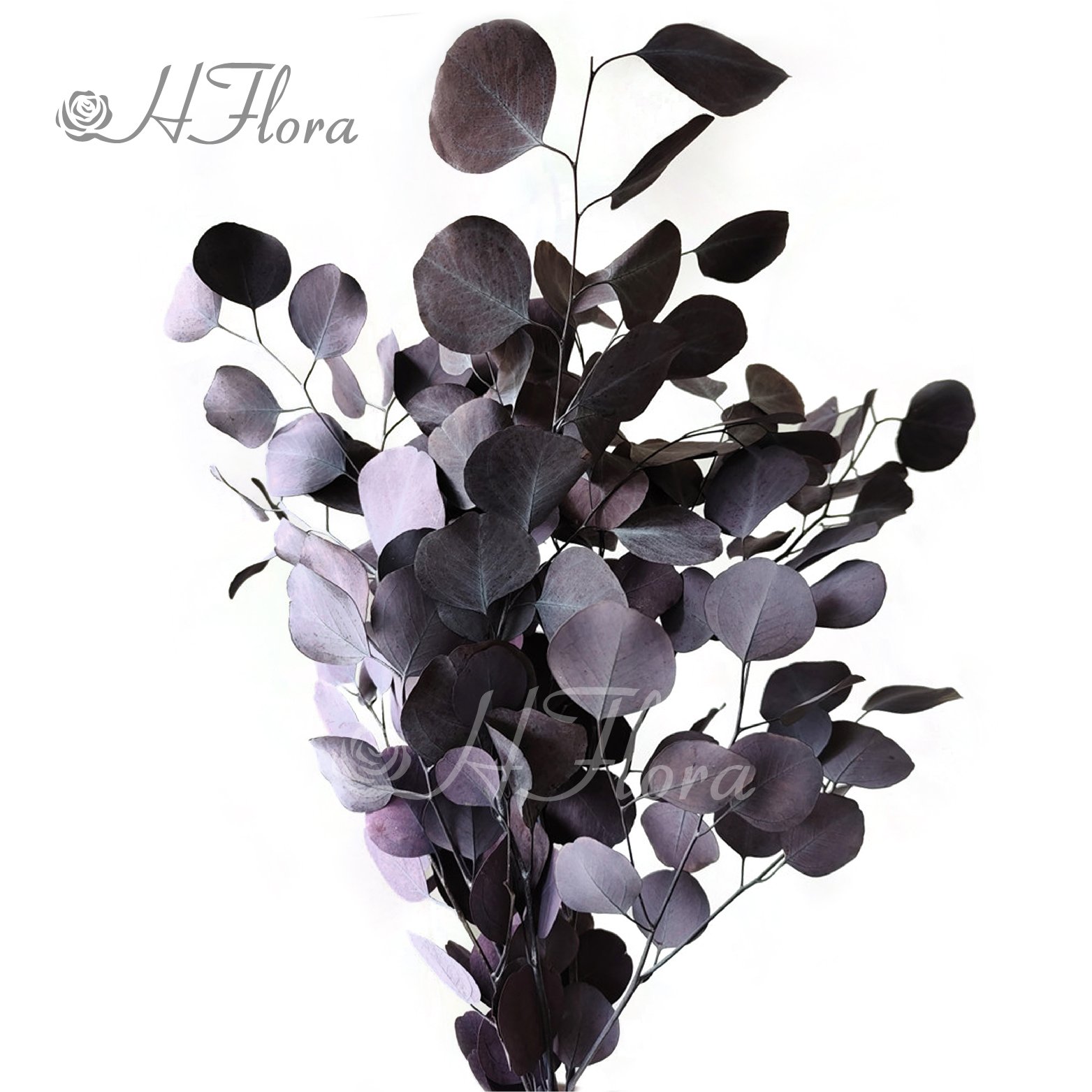 HFloral Wholesale Custom Natural Decorative Dried Bouquet Press the leaves Preserved Flower Apple Leaf Eucalyptus