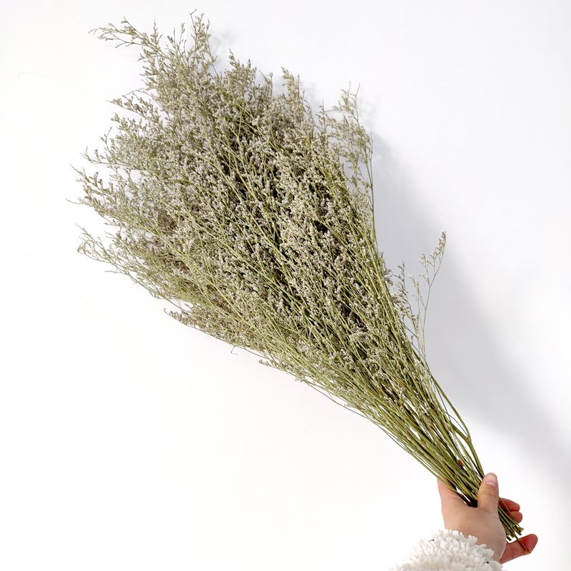 Dried Flowers German Statice Natural Color Preserved Statice caspea limonium Sea Lavender Dry Misty Grass Dried Limonium Caspia