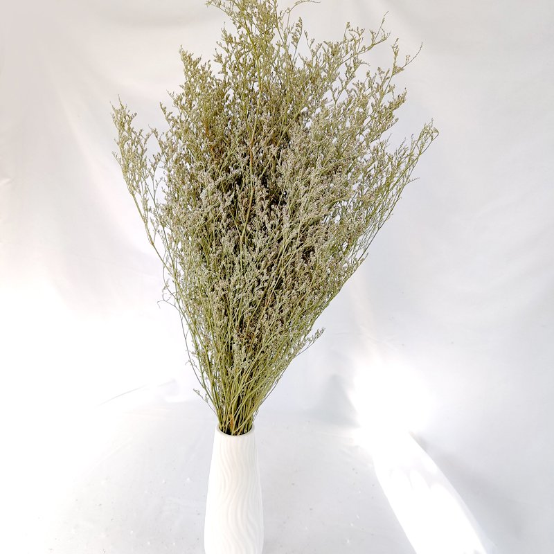 Dried Flowers German Statice Natural Color Preserved Statice caspea limonium Sea Lavender Dry Misty Grass Dried Limonium Caspia