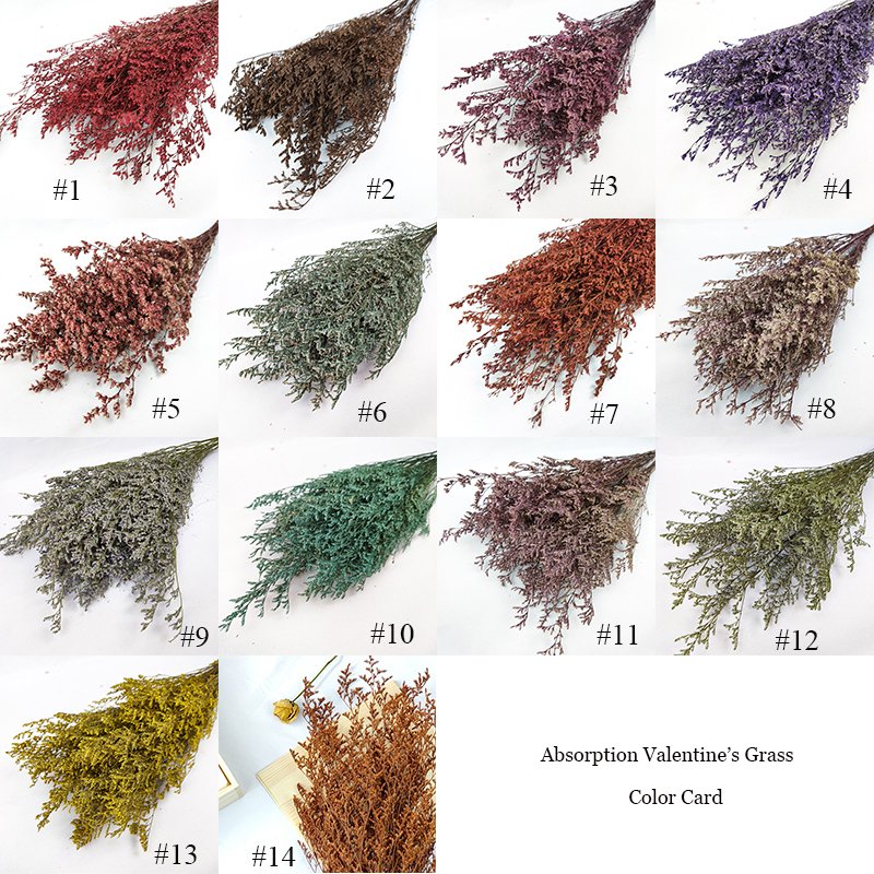 Dried Flowers German Statice Natural Color Preserved Statice caspea limonium Sea Lavender Dry Misty Grass Dried Limonium Caspia