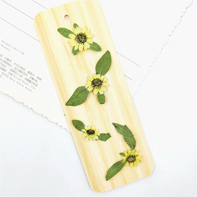 Real Dried Pressed Yellow Mini Sunflower Plant Specimen for Epoxy Mobile Phone Case Bookmark Children's Table Lamp