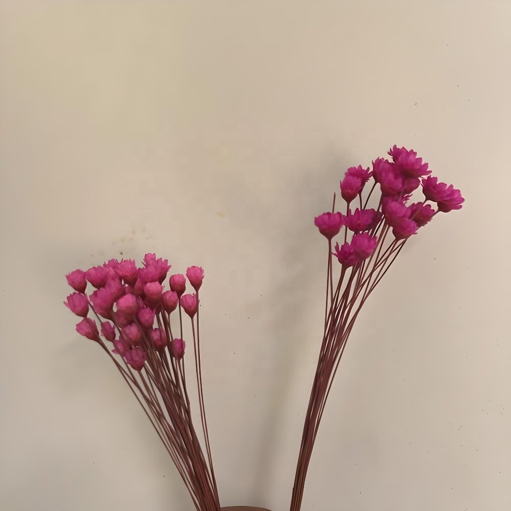 1000g Dried flowers craft decor wholesale small bunch of dried flower for resin