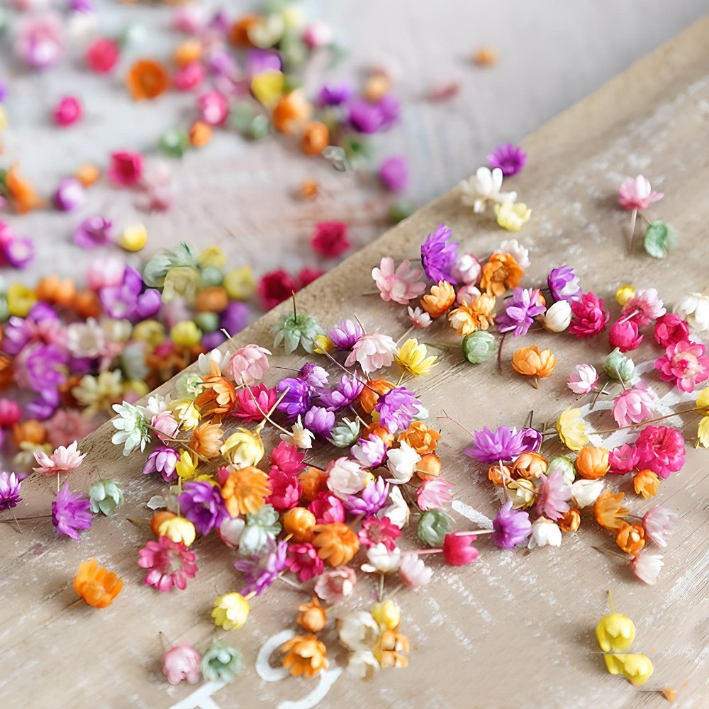 1000g Dried flowers craft decor wholesale small bunch of dried flower for resin