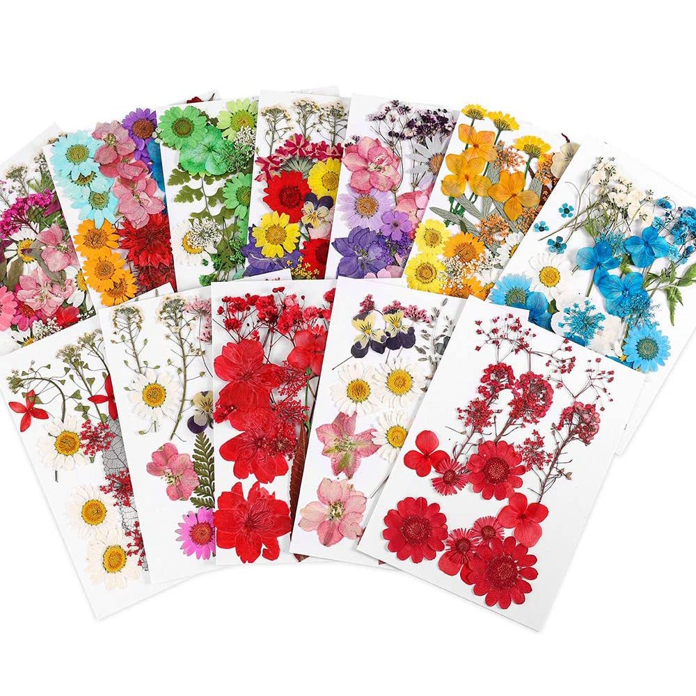 Timesrui Wholesale Dried Flowers Natural Pretty Pressed Flowers Preserved Plant For Making Jewelry Accessories And DIY Crafts