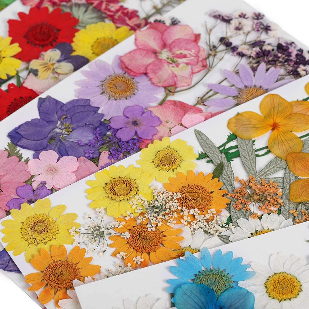 Timesrui Wholesale Dried Flowers Natural Pretty Pressed Flowers Preserved Plant For Making Jewelry Accessories And DIY Crafts