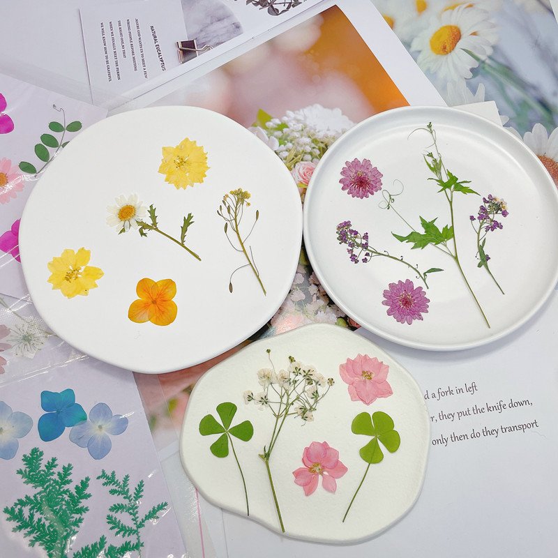 Timesrui Wholesale Dried Flowers Natural Pretty Pressed Flowers Preserved Plant For Making Jewelry Accessories And DIY Crafts
