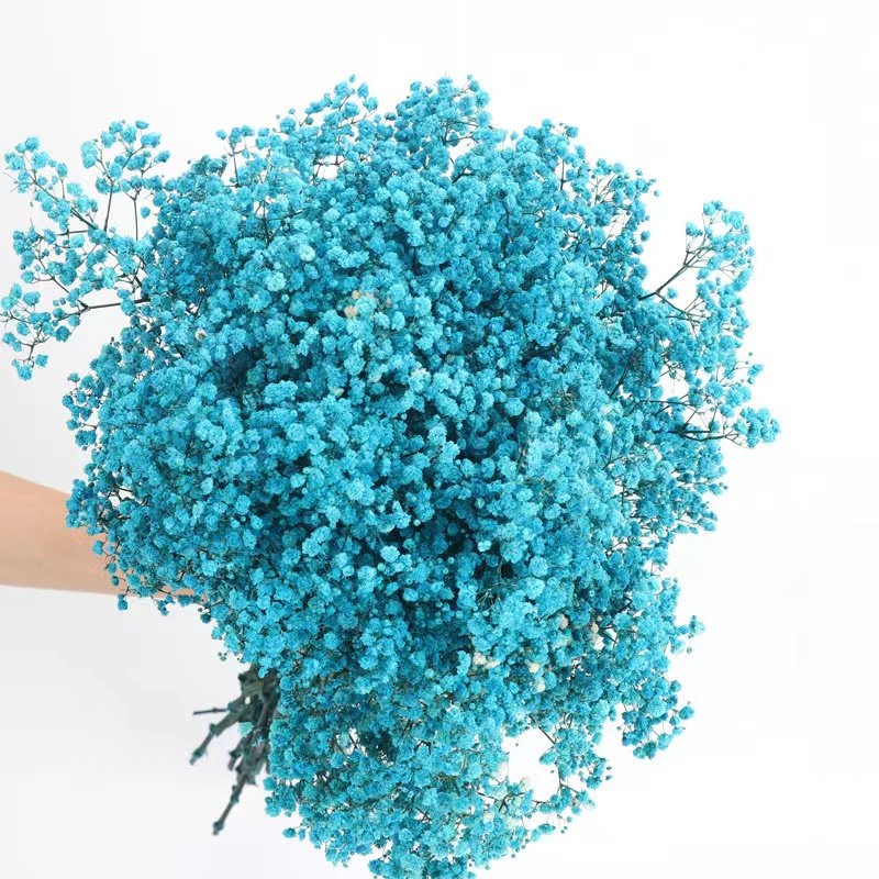 Yunnan Mantianxing factory wholesale flower bouquet Gypsophila bouquet packaging home decoration flower arrangement