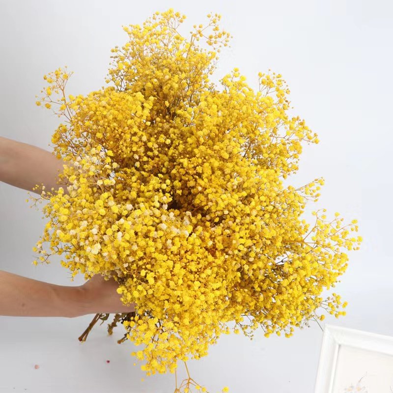 Yunnan Mantianxing factory wholesale flower bouquet Gypsophila bouquet packaging home decoration flower arrangement