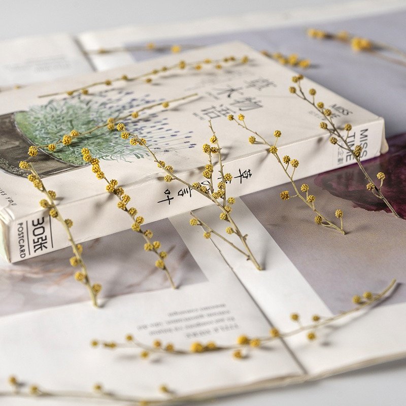 wholesale DIY material Dried flower pressed Christmas flowers for Phone Case Nail Art resin Jewelry Postcard candle decoration