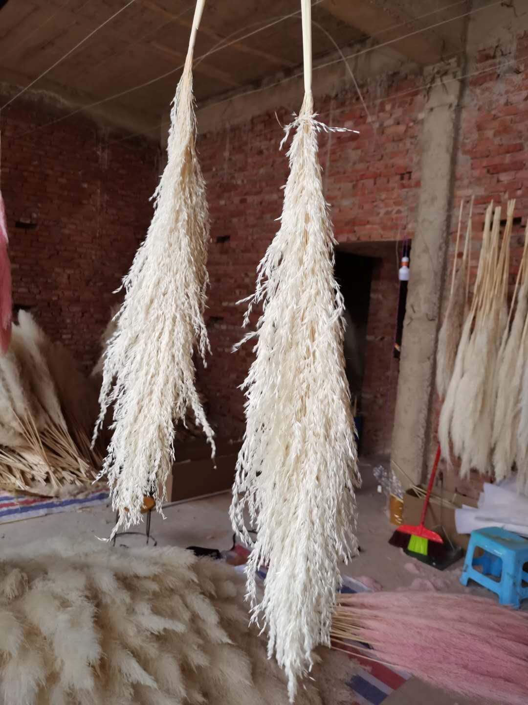 Natural big pampas grass flower reed plumes for wedding party home decoration