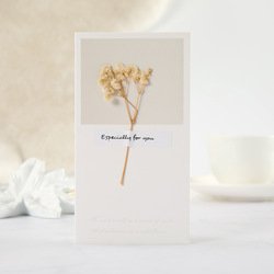 Babysbreath-white