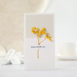 Babysbreath-yellow