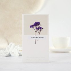 Babysbreath-purple
