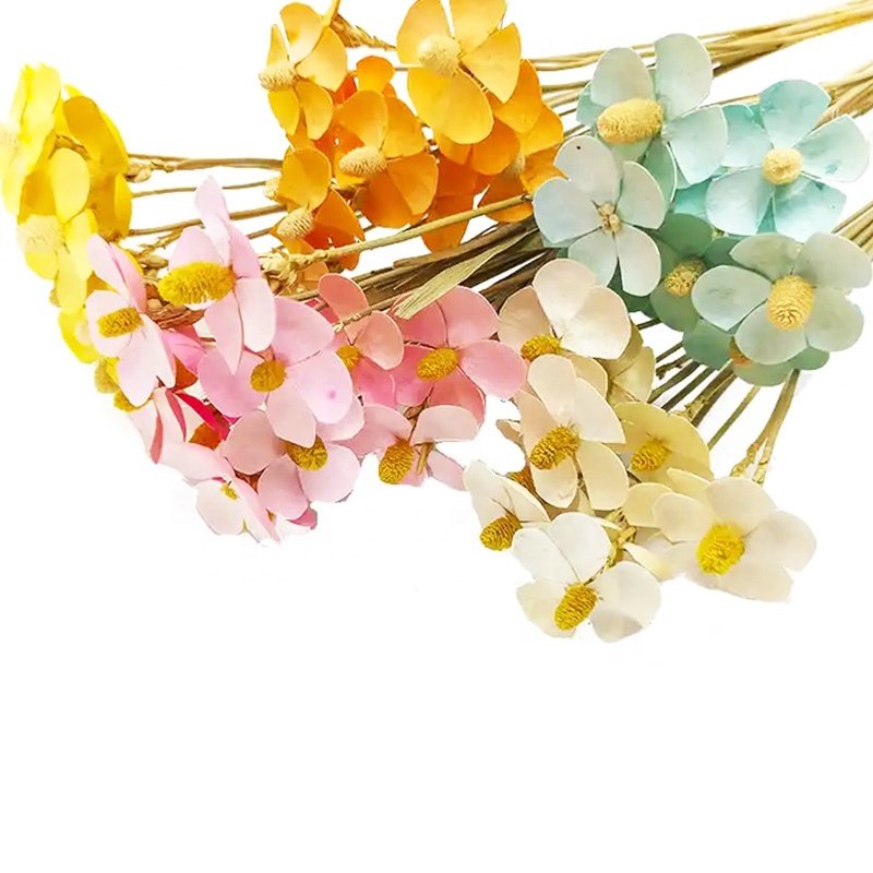Wholesale Natural Dried Flowers Home Decoration Handmade Violet Dried Flowers