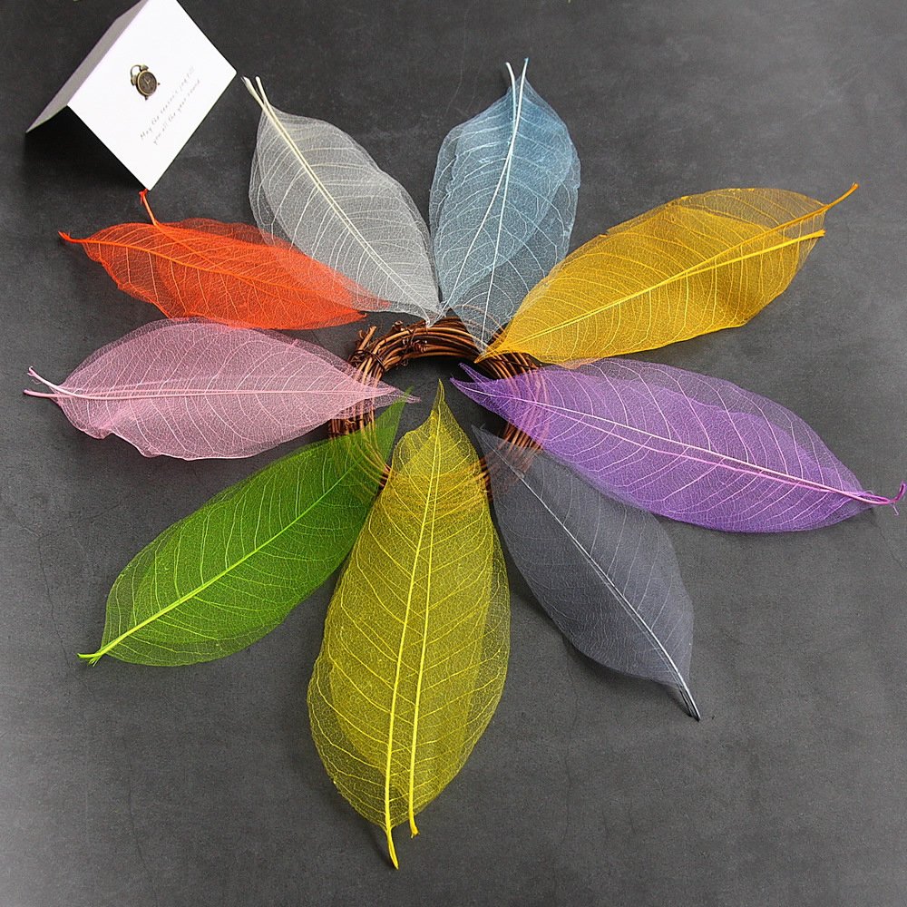 Wholesale 100 pcs Per Bag Multi-Color Natural Dried Flowers and Skeleton Leaves Vein Decoration Flower Material for Wedding