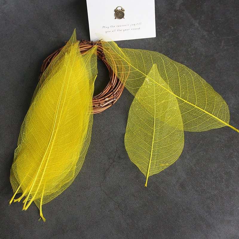 Wholesale 100 pcs Per Bag Multi-Color Natural Dried Flowers and Skeleton Leaves Vein Decoration Flower Material for Wedding