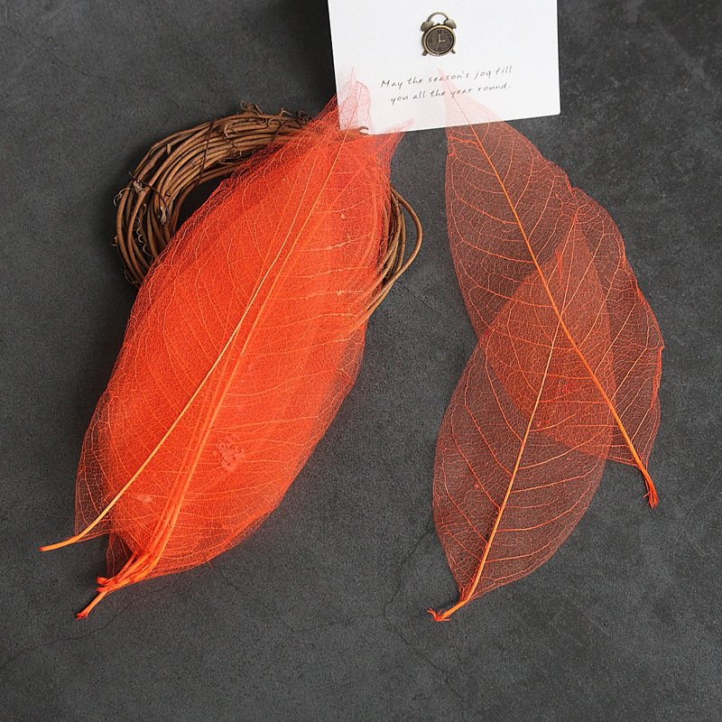 Wholesale 100 pcs Per Bag Multi-Color Natural Dried Flowers and Skeleton Leaves Vein Decoration Flower Material for Wedding