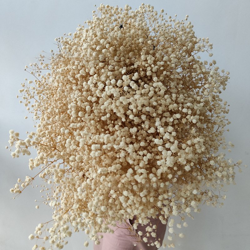 Wholesale Baby Breath Home Decorative Colorful Dried Artificial Flowers Boho Dried Flowers Bouquet Preserved Gypsophila Flower