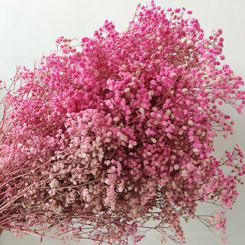 Wholesale Baby Breath Home Decorative Colorful Dried Artificial Flowers Boho Dried Flowers Bouquet Preserved Gypsophila Flower