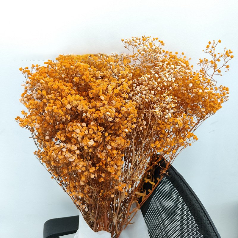 Wholesale Baby Breath Home Decorative Colorful Dried Artificial Flowers Boho Dried Flowers Bouquet Preserved Gypsophila Flower