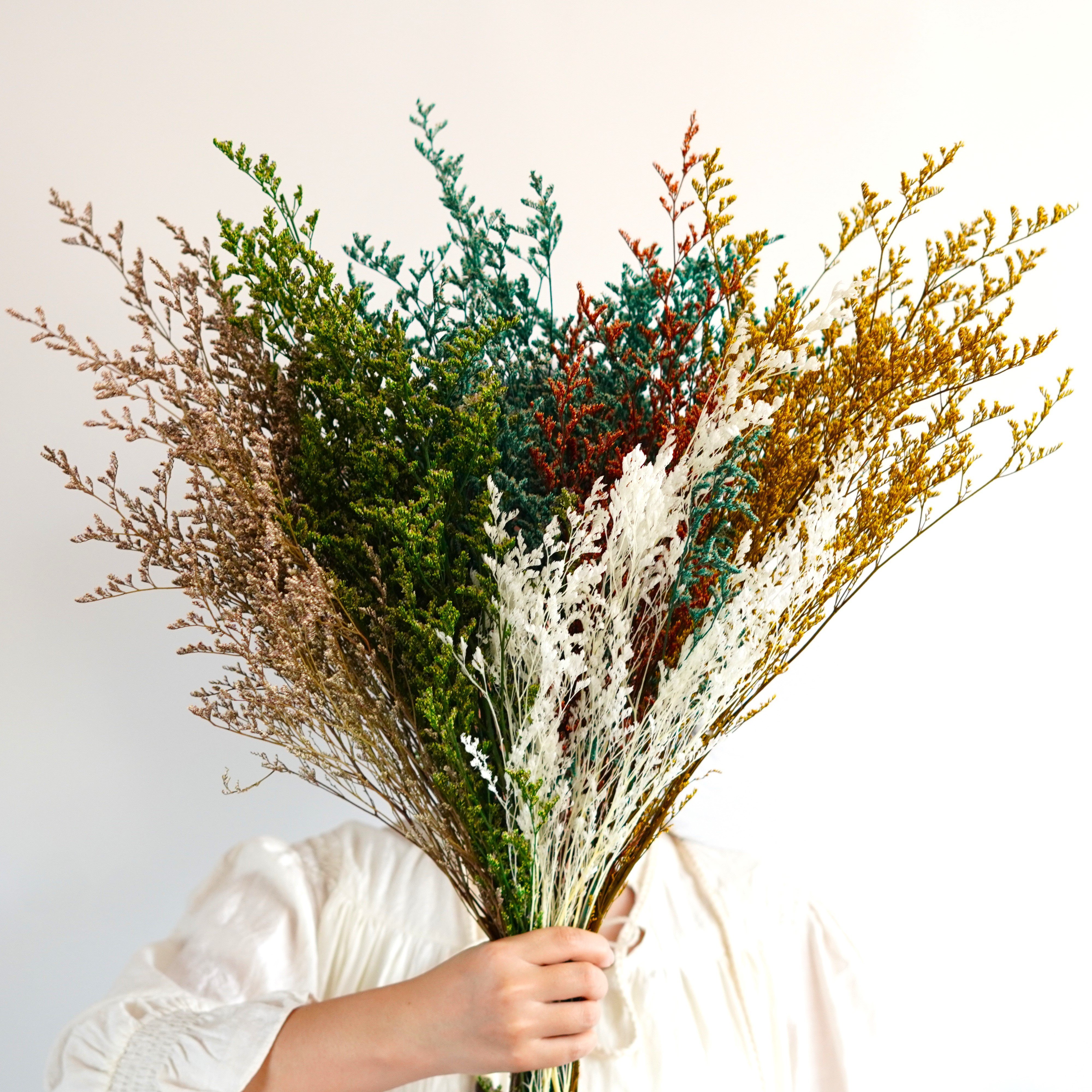 Dry Lover's grass Flower Dried Flowers Home decoration,Bouquet material,Preserved Lover Grass