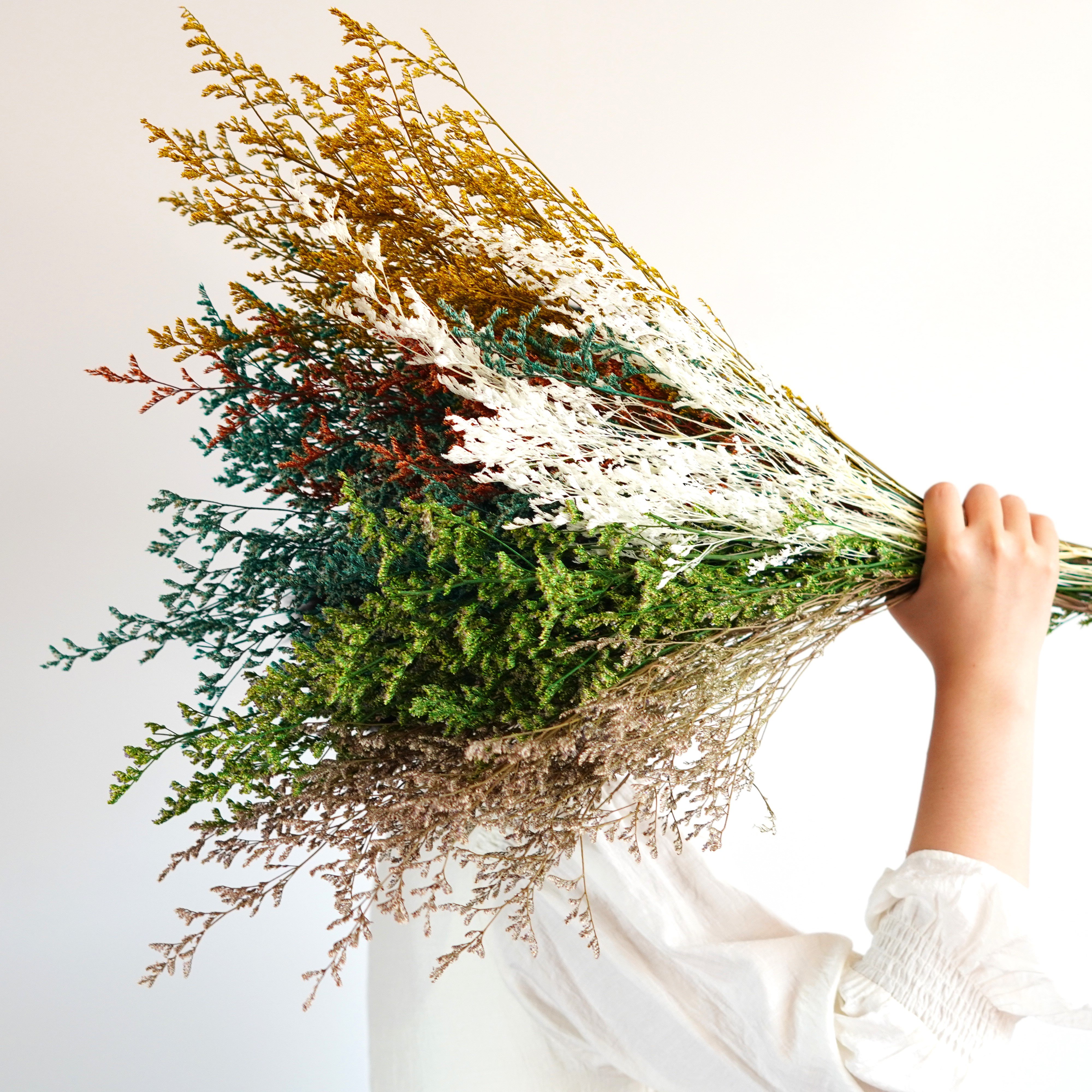 Dry Lover's grass Flower Dried Flowers Home decoration,Bouquet material,Preserved Lover Grass