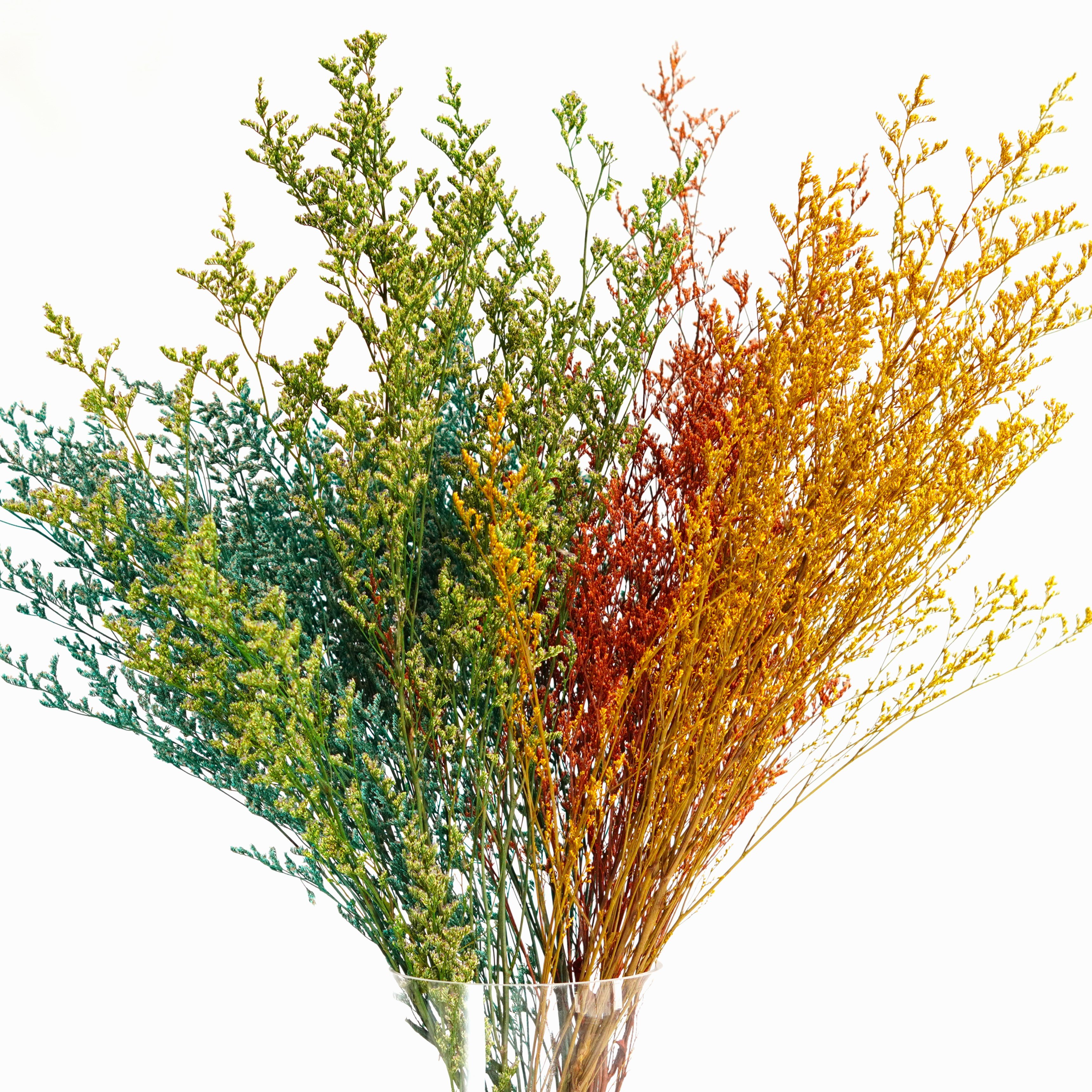 Dry Lover's grass Flower Dried Flowers Home decoration,Bouquet material,Preserved Lover Grass